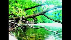 idyllic P Thumb
