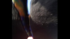Le echo leche en el camion Thumb