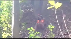 VID-20170814-WA0021 Thumb