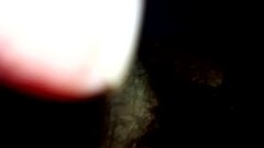 Pene di 20 cm Thumb