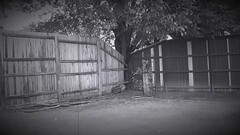 A short film about a man missing his loved one.  Fully nude. Thumb