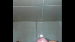 Pau mais lindo do mundo 001 Thumb