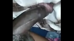 Fucking my nakuru friend Thumb