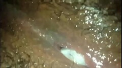 Anita'_s creamy pussy Thumb