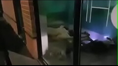 Caught fucking in public Thumb