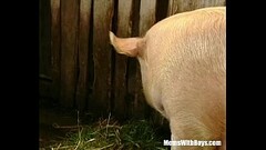 Brunette Lady Farmer Hairy Pussy Barn Fucked Thumb