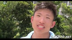 Homosexual blowjob porn Thumb