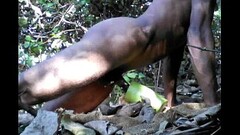 Desi Tarzan Boy Sex With Bottle Gourd In Forest Thumb