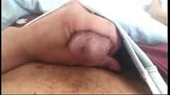 480 389 cxpK9-S205- Thumb