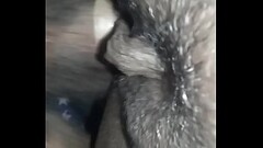 Queef pussy Thumb