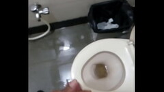 VID 20170201 132229 Thumb