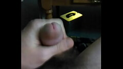 1c6f32b8-7fef-47d8-b343-d5973d43d7b5 Thumb