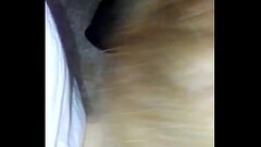 20161217 141401 Thumb