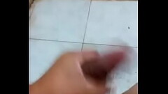 1481912537451 Thumb
