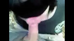 26 Nov 2016 Thumb
