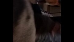 Bestfriend sockjob Thumb