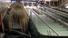 Jaqueta de Nylon da Universit&aacute_ria Pt 1 Thumb