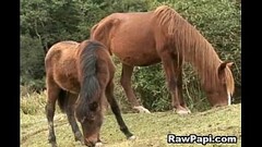 Latino Gays Having Intense Bareback Sex Thumb