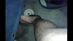 rico macho Thumb