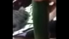 Cucumber pleasure MOV 4362-1 Thumb