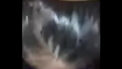 FreakyRoseSsbbw Thumb