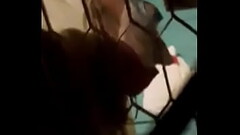 video-1472950365 Thumb