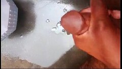 Bashir Thumb