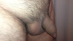 Chileno pico chico Thumb